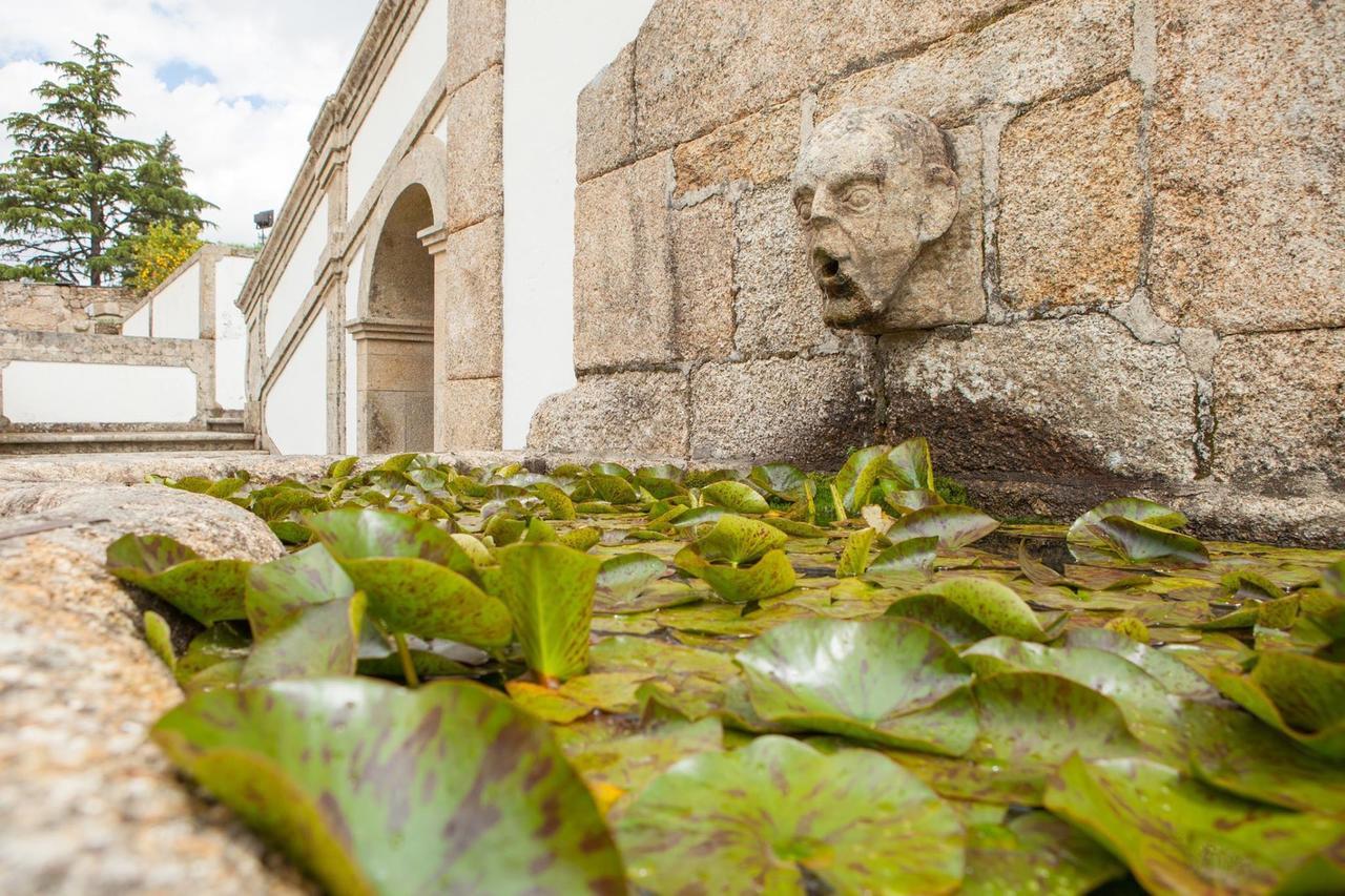 Marco de Canavezes Casa De Quinta 빌라 외부 사진